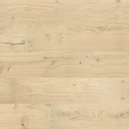 Sandora