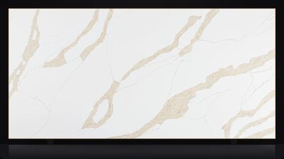 Calacatta Leon Gold