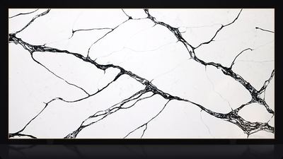 Calacatta Medusa Black