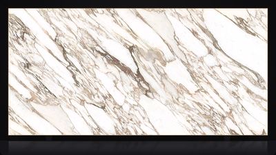Calacatta Vagli Gold