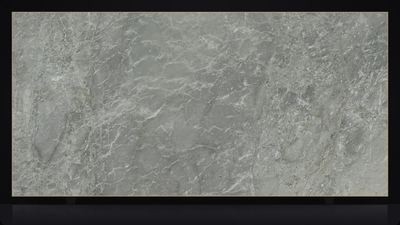 Silverdrop
