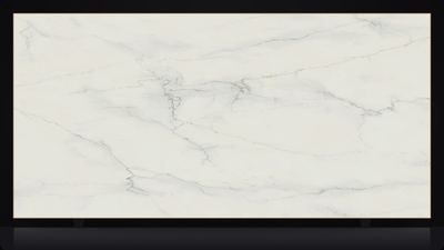 Snowdrift