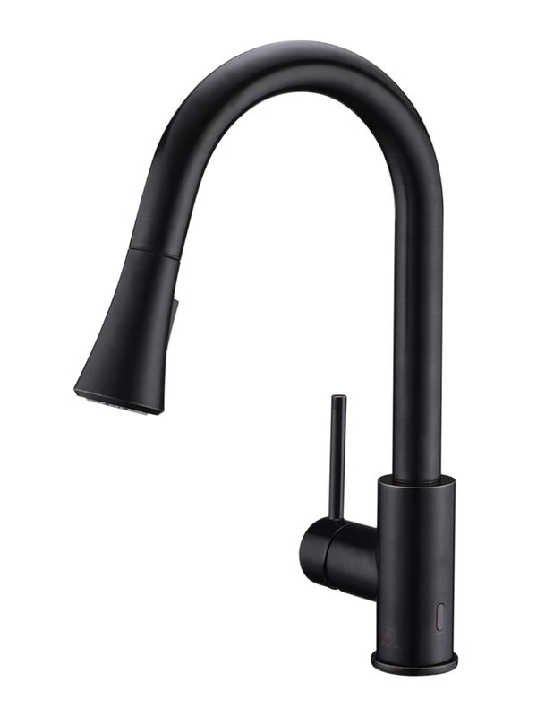 Kitchen Faucet MZ503260