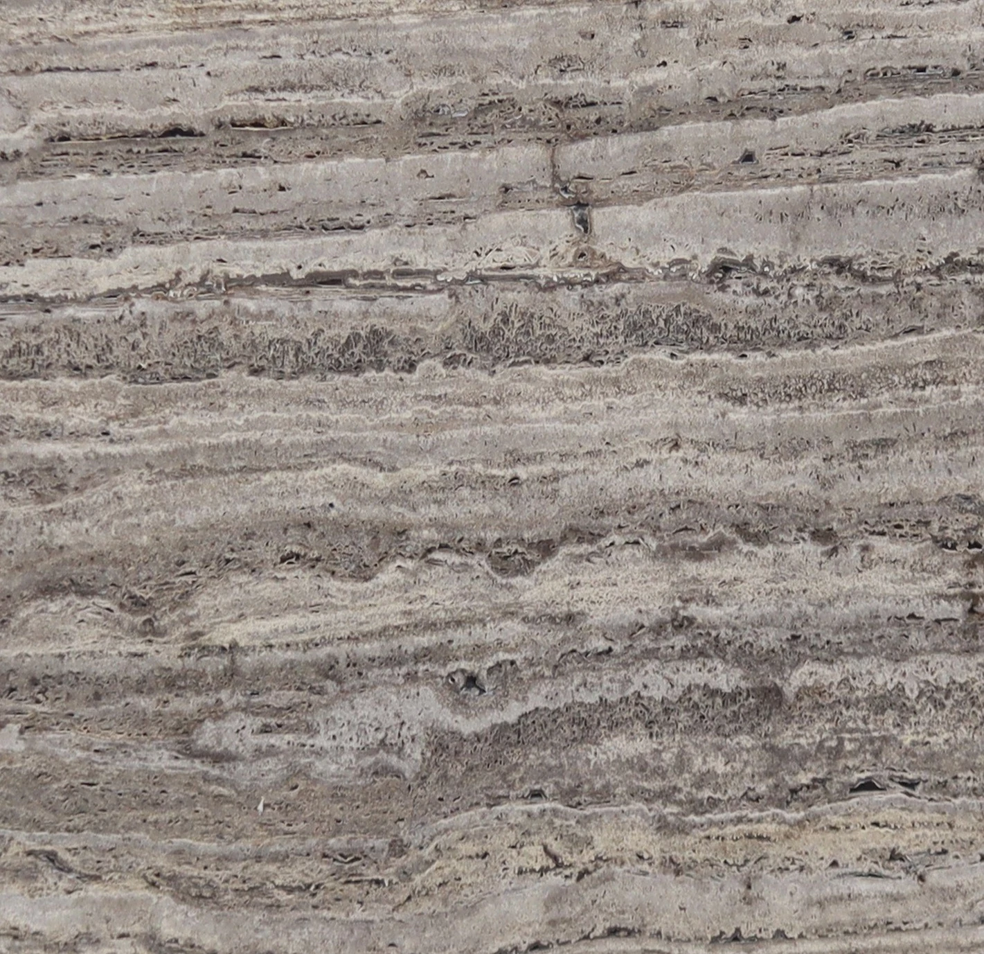 Silver Travertine Titanium Unfilled